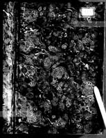 PL_1_184_436_0000-okladka