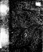 PL_1_184_461_0000-okladka