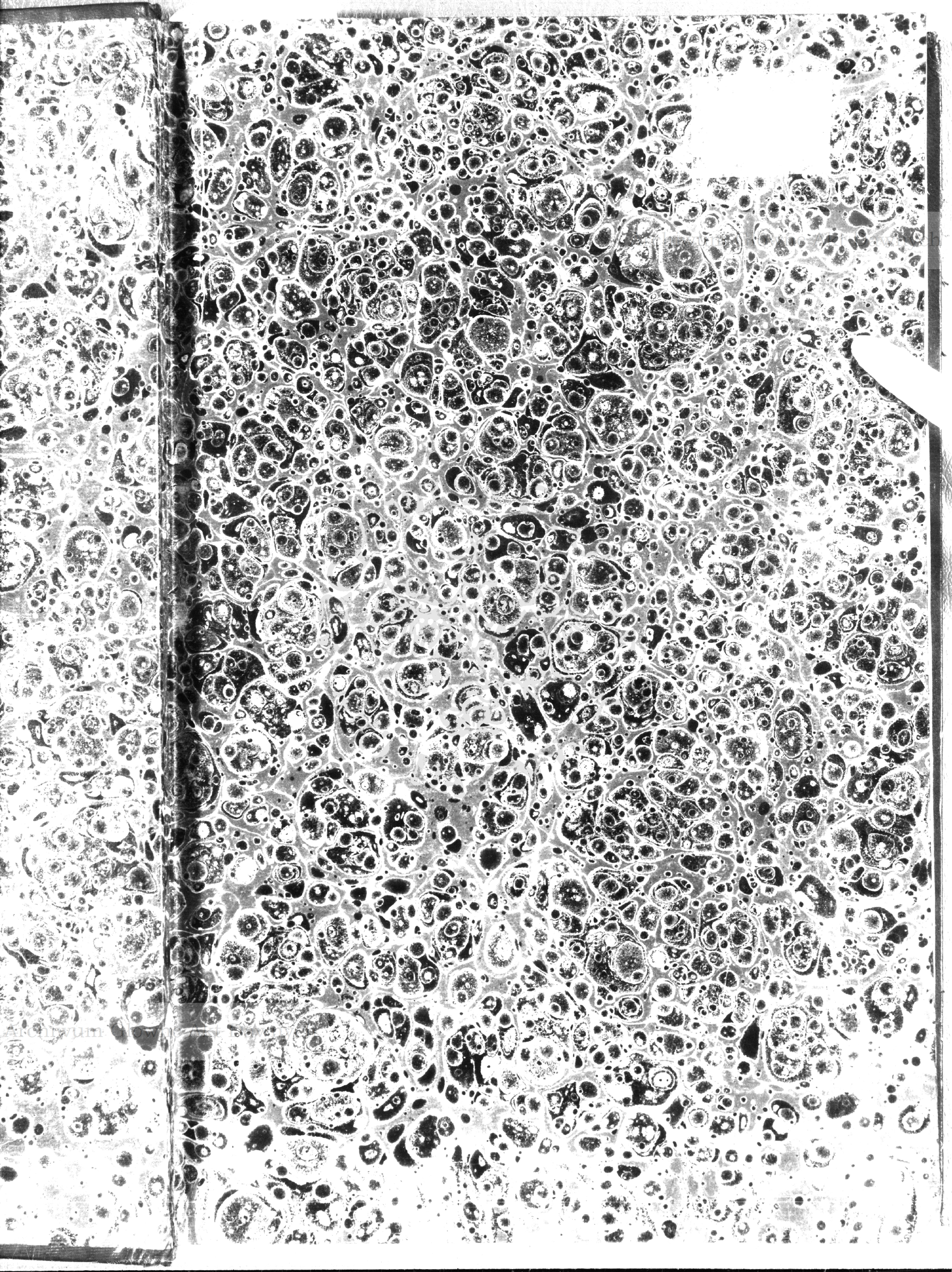 PL_1_184_478_0000-okladka