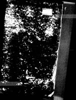 PL_1_184_486_0000-okladka