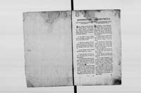 1_298_0_0_402_0004