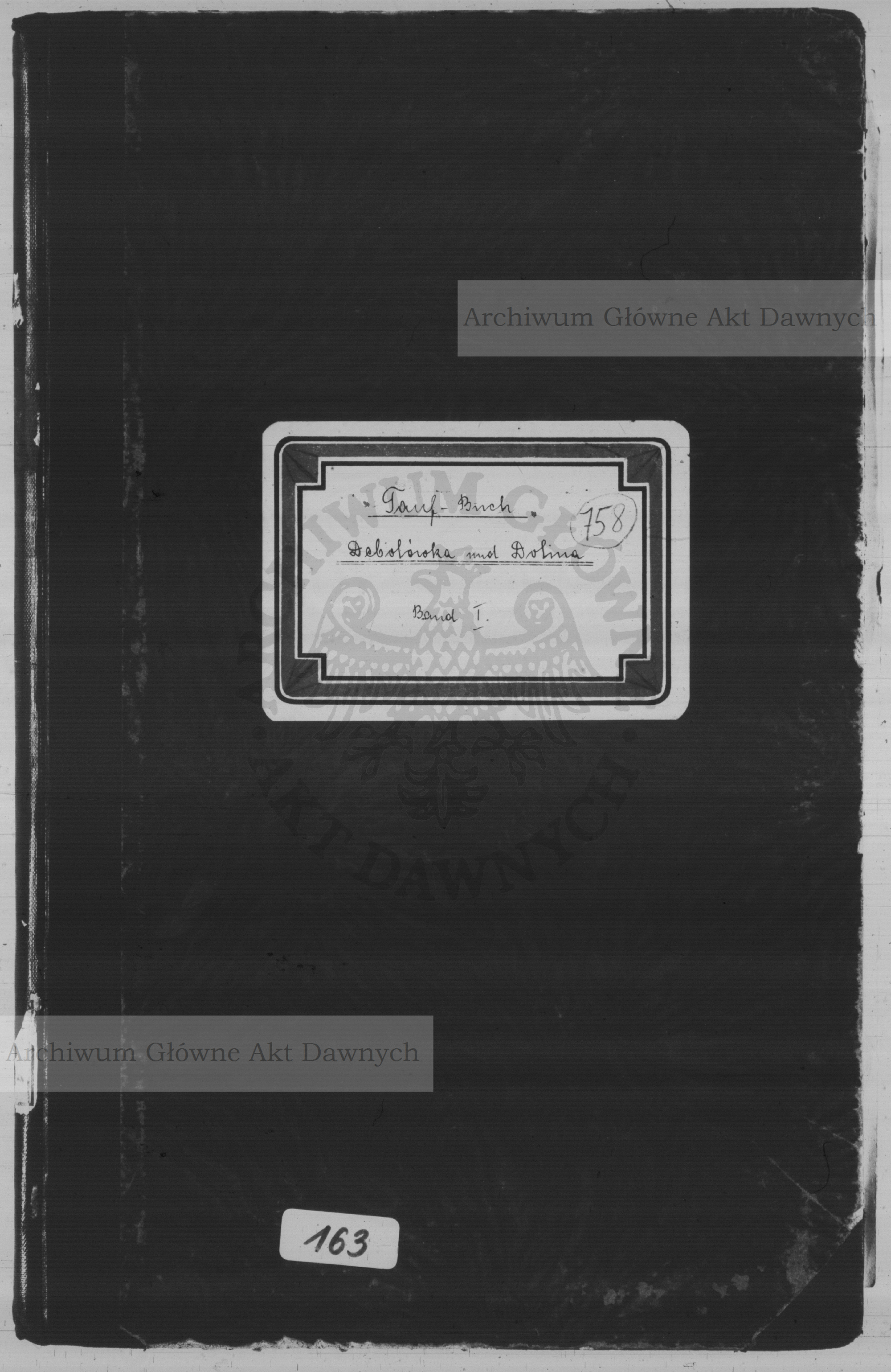 PL_1_299_163_0000-okladka