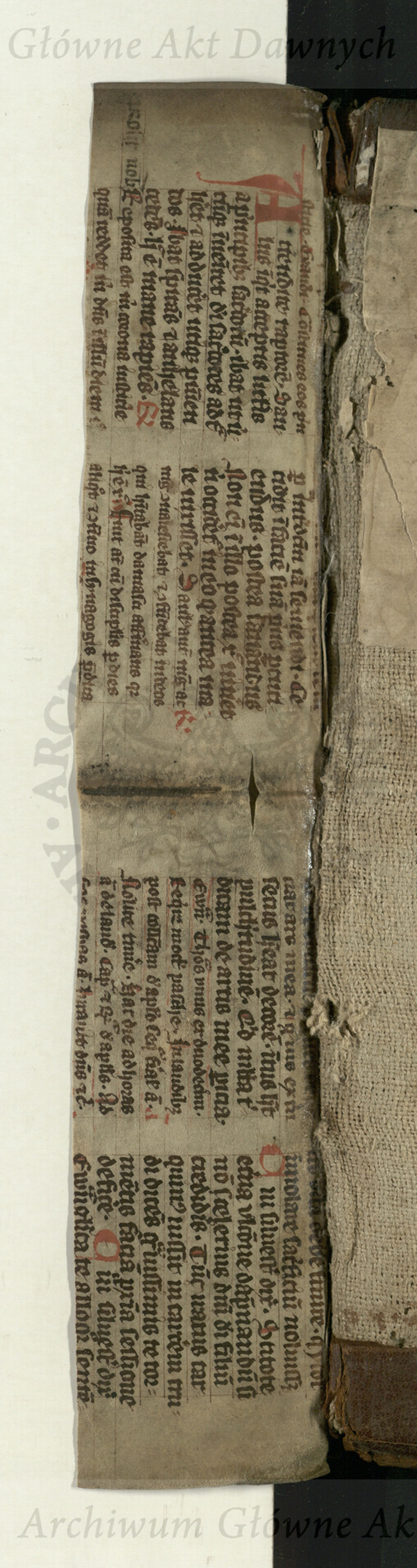 PL_1_4_2-3_9999-wyklejka2