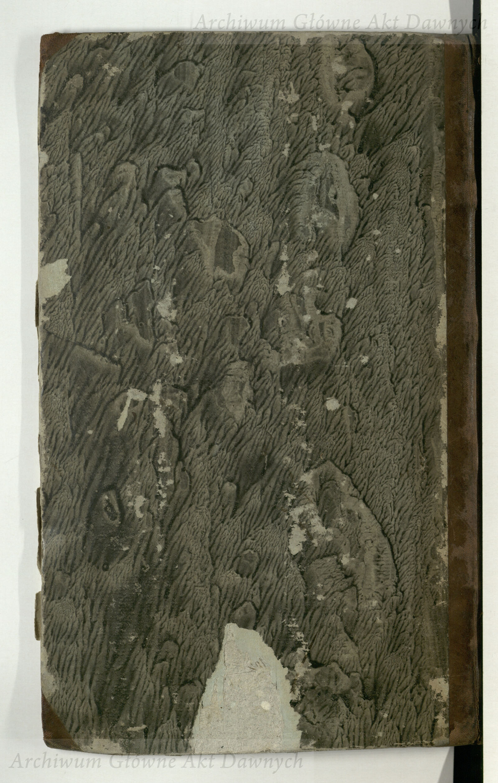 PL_1_4_3-42_9999-okladka