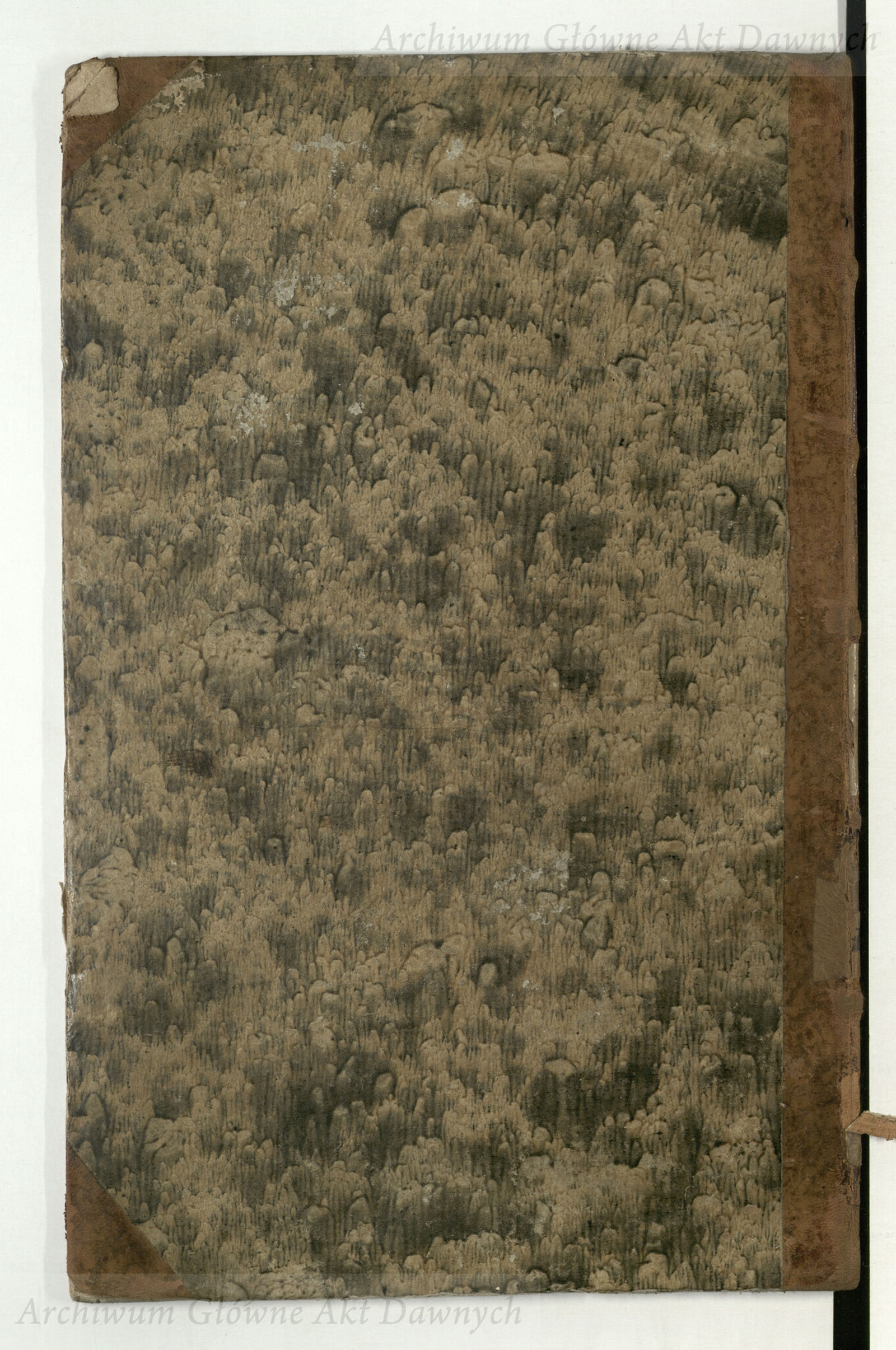 PL_1_4_3-43_9999-okladka