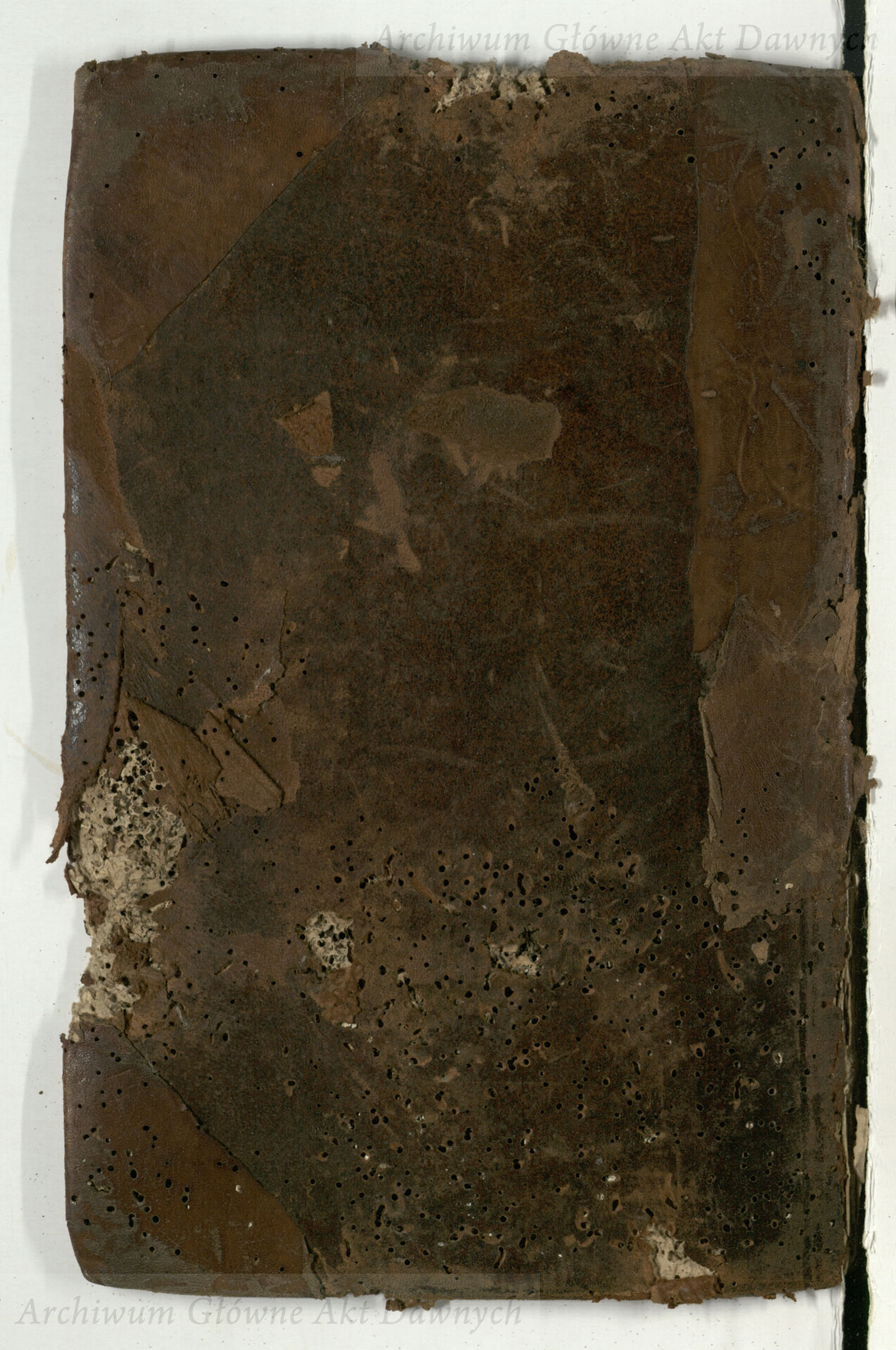 PL_1_4_6-23-9999-okladka