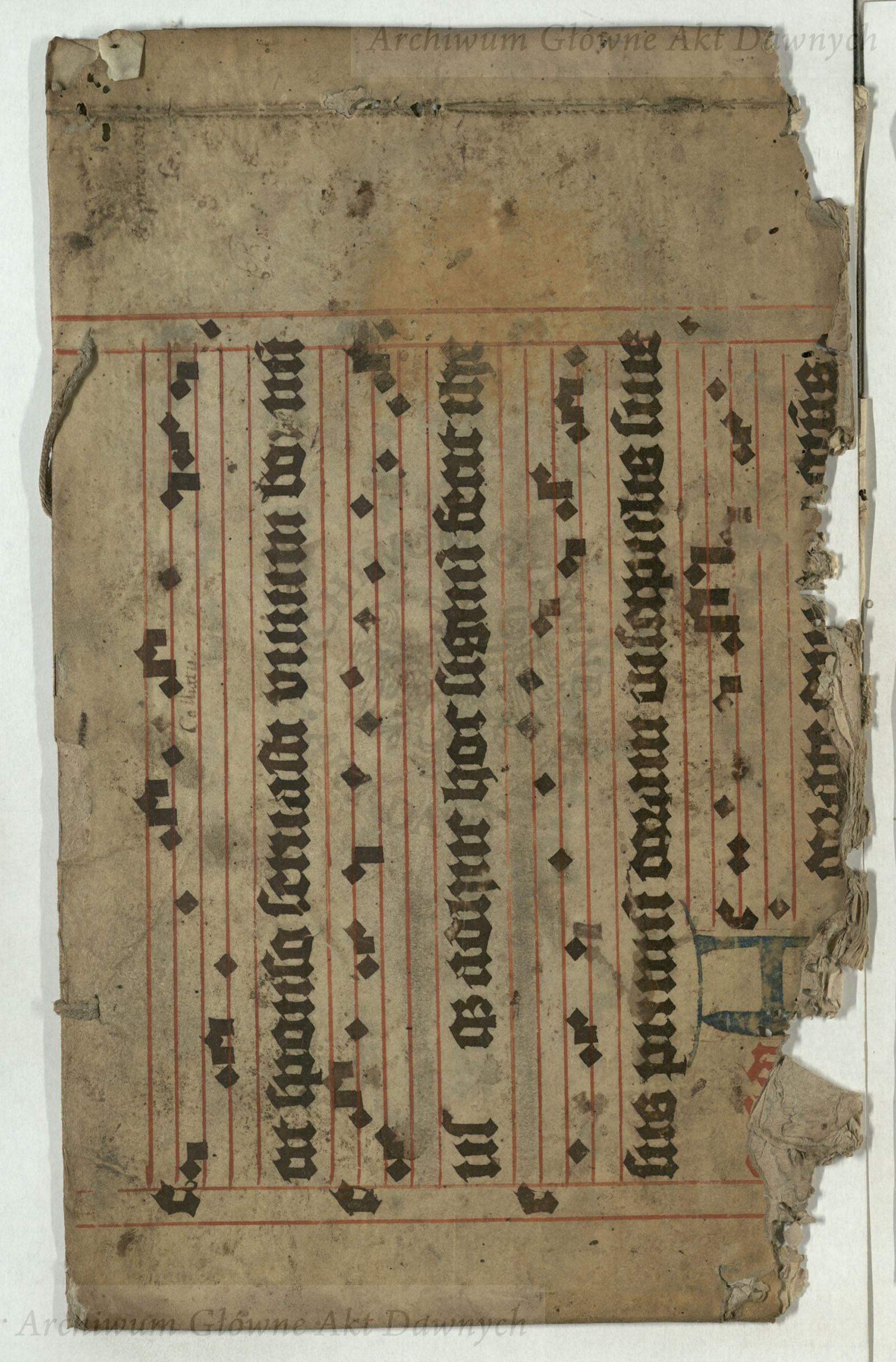 PL_1_4_6-51_9999-okaldka